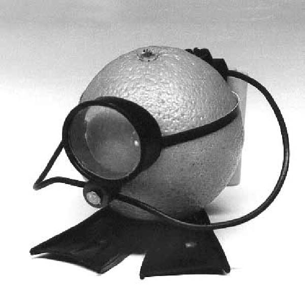 orange a mer-humourenvrac